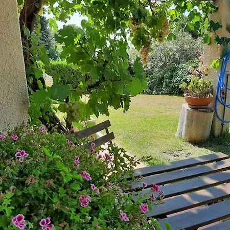 Apartamento Con Jardin Privado *